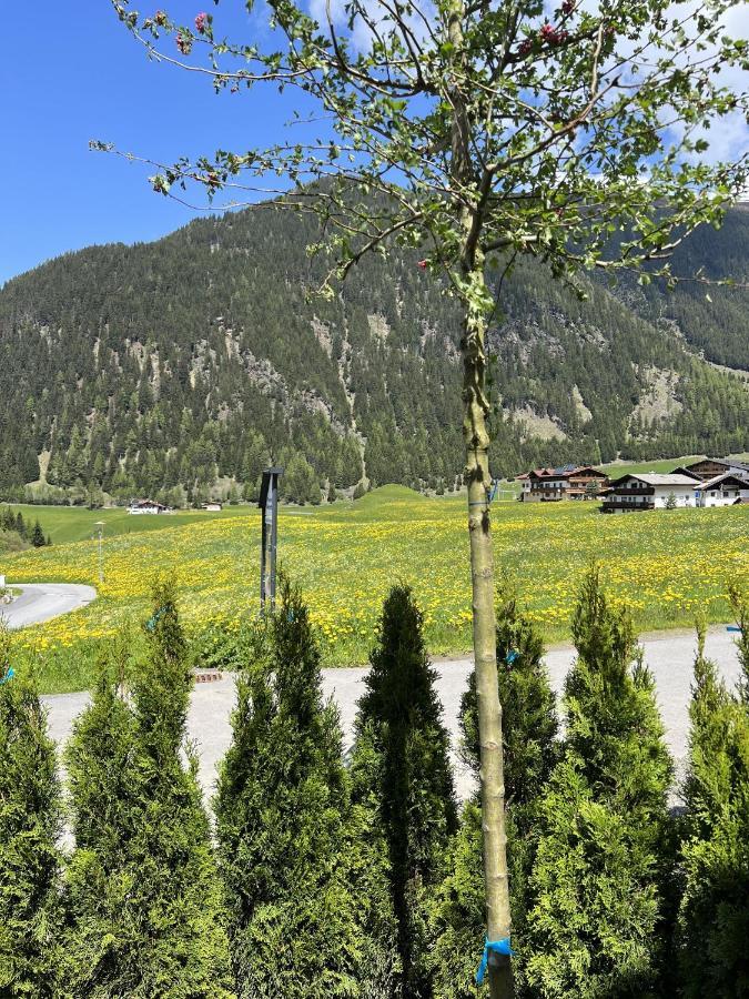 Alp Apart Niederthai Умхаузен Экстерьер фото